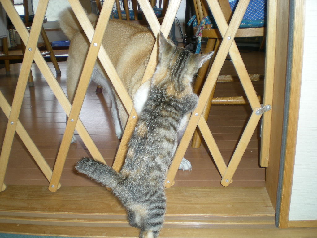 2008年10月8日(木)今日のバトル!_f0060461_16341249.jpg