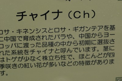 d0141365_7434245.jpg