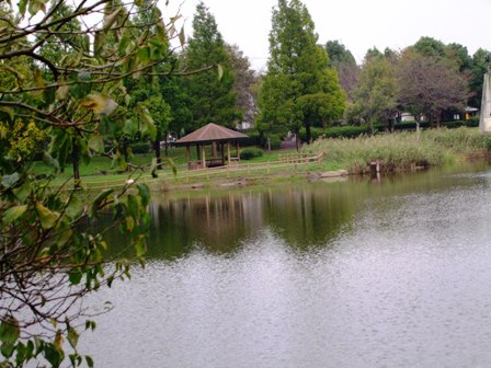 c0078480_0521242.jpg