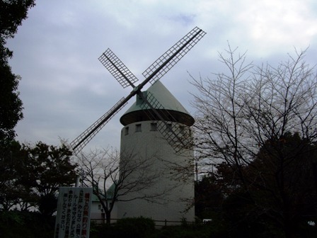 c0078480_117506.jpg