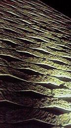 f0098680_2051533.jpg