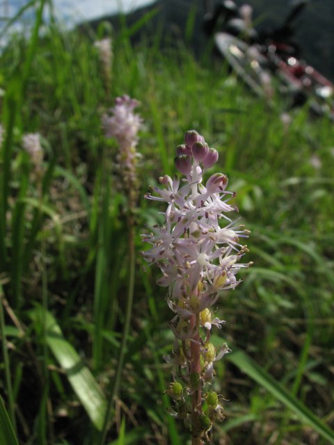 a0060882_810281.jpg