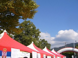 b0122182_17525034.jpg