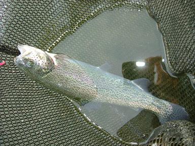 f0119889_14472476.jpg
