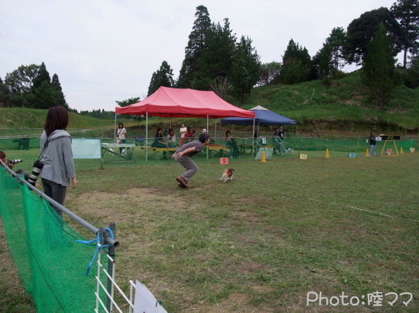 c0044199_1291569.jpg