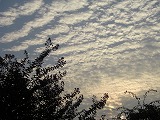 c0125501_8464881.jpg