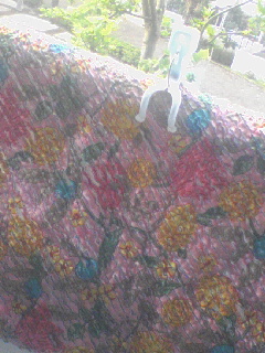 c0023406_7384273.jpg