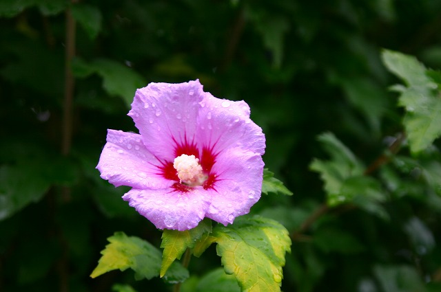 a0002209_22204932.jpg
