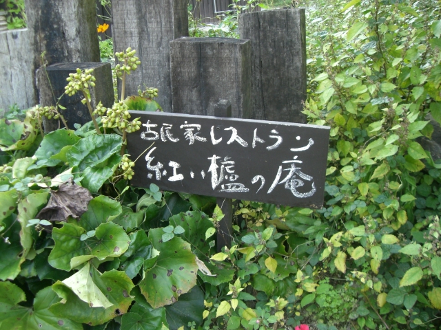 b0137913_14181.jpg