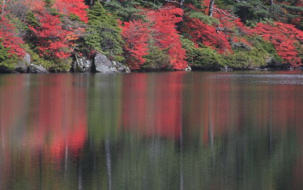 白駒の池の紅葉_c0073016_2204944.jpg