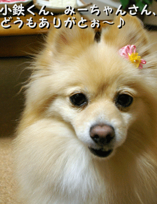 b0075318_2135980.gif