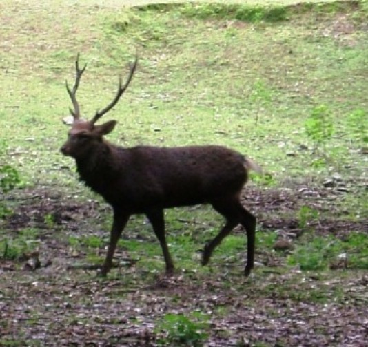 e0024126_2145538.jpg