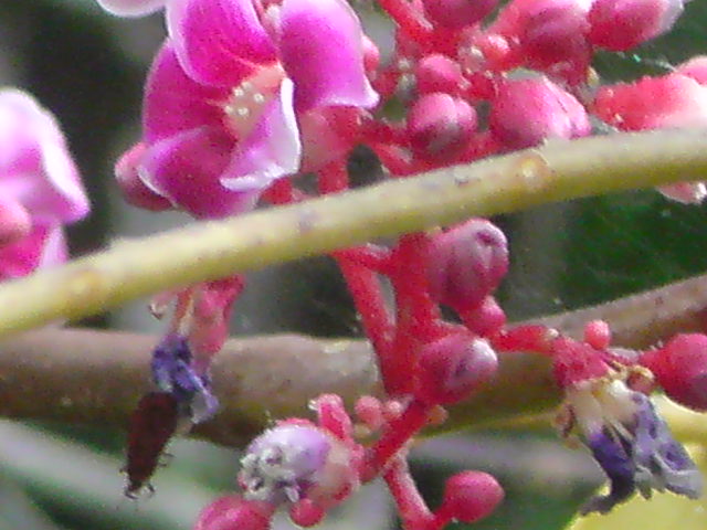 e0016828_23472482.jpg