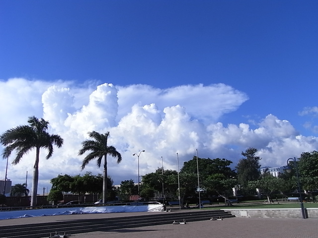 f0169328_128597.jpg