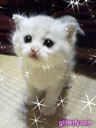 f0175434_2322898.gif