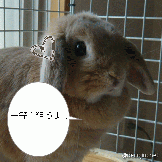 c0151439_10333387.gif