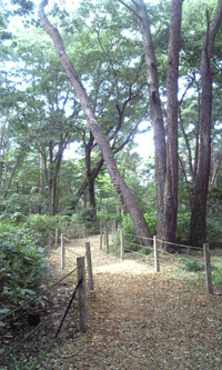 f0159844_2249910.gif