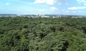 f0159844_231859.gif