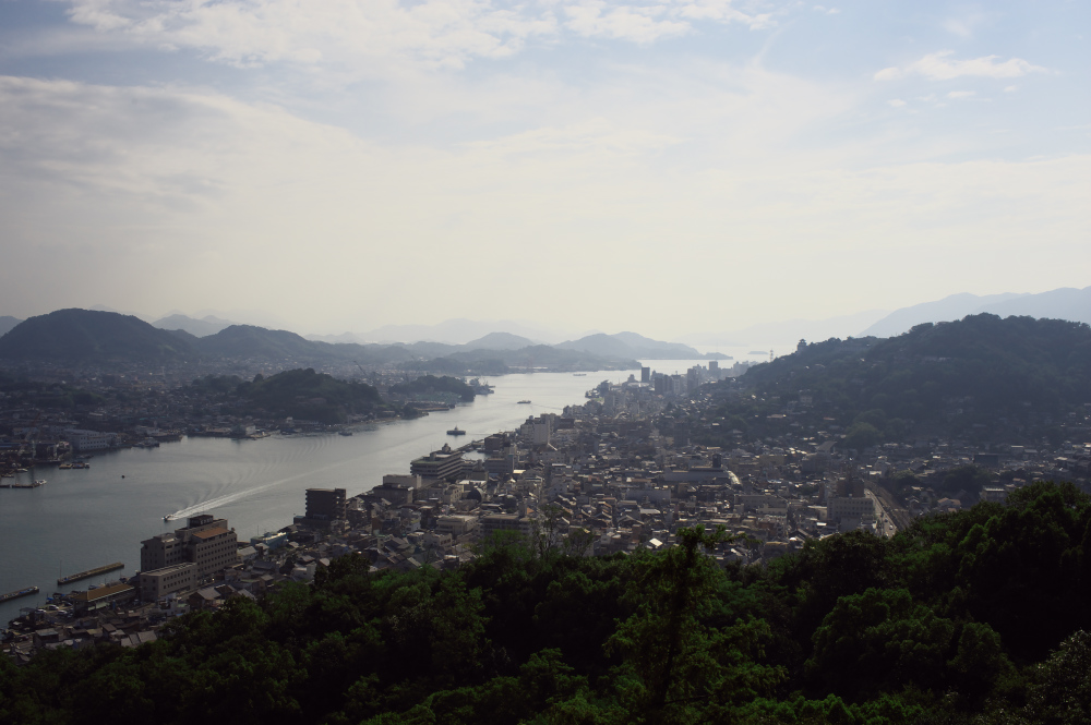 d0001745_4521295.jpg