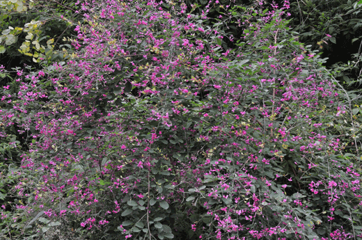 c0093046_23281432.gif