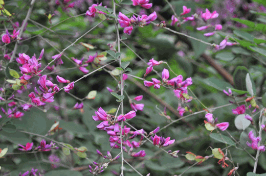 c0093046_23283965.gif