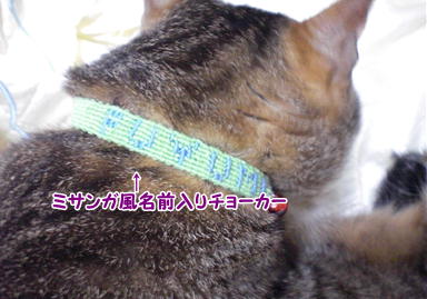 手作り首輪 第３弾 猫は百薬の長なりぃ