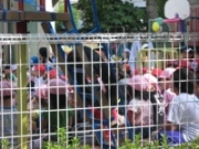 d0037159_1713663.jpg