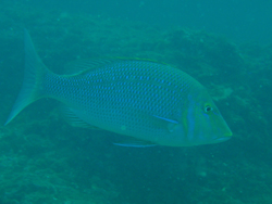 f0164662_164927100.jpg