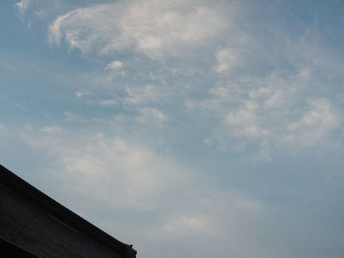 f0142768_23544841.jpg