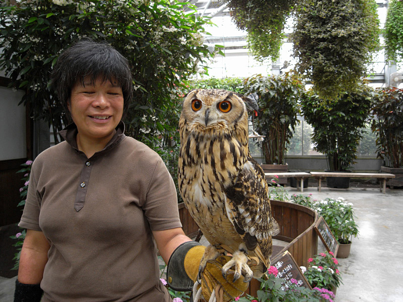 掛川花鳥園－２_e0100772_224705.jpg