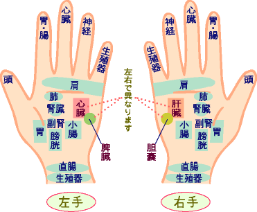 十巧手～習慣化して健康維持。。。_f0007580_23114435.gif