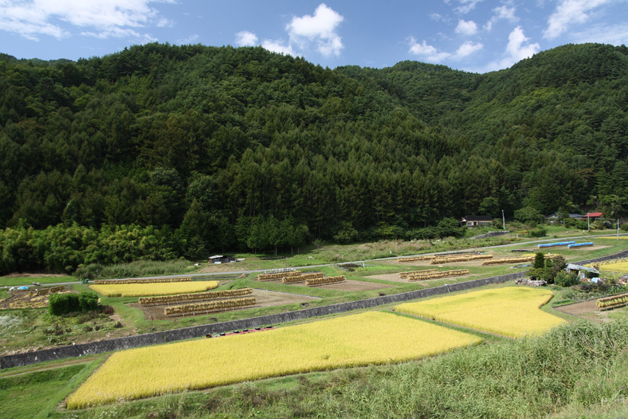 08．09．23：駒ヶ根界隈、夏の名残りをＣＰＬで３－完_c0007190_20463587.jpg