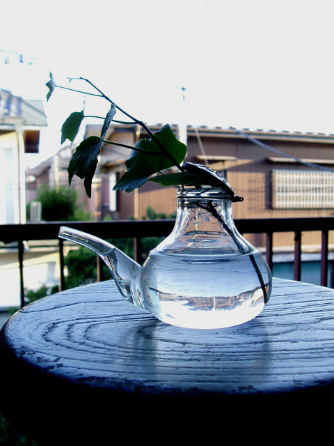 戦前の吸い飲み 青蓮亭日記 戦前の吸い飲み 青蓮亭日記