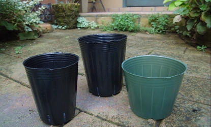 f0065604_202106.jpg