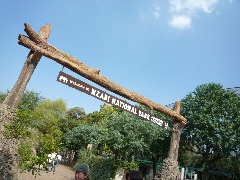 c0002614_08395.jpg