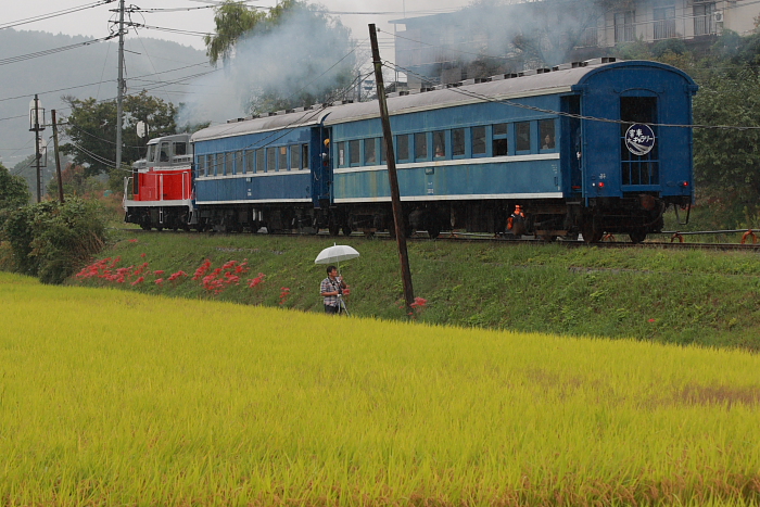  雨の片上鉄道　☆　彼岸花と・・・_d0120622_2132663.jpg