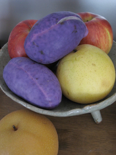 f0189227_2345289.jpg