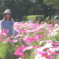 京都要庵歳時記「秋の京都府立植物園」（1）_d0033734_12254930.gif