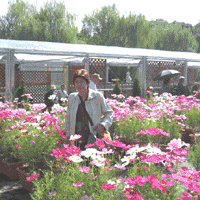 d0033734_12262580.gif