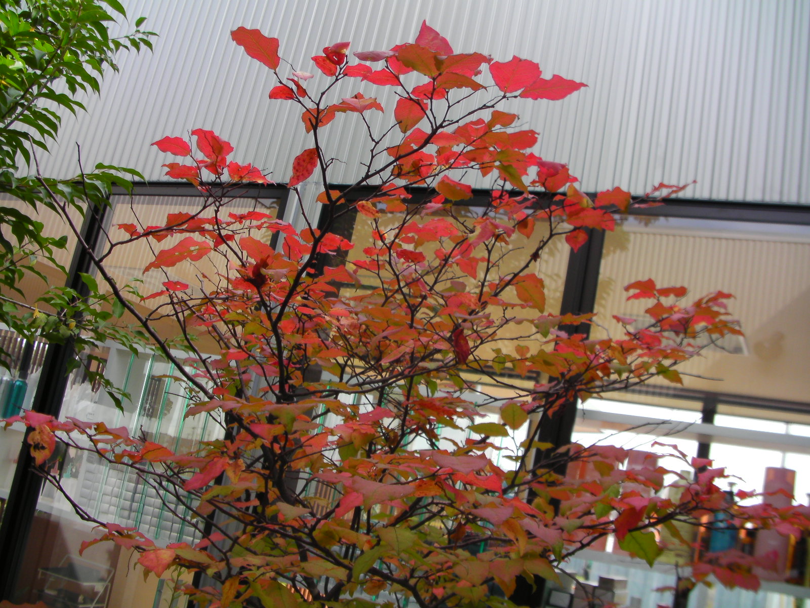 c0128835_1215687.jpg