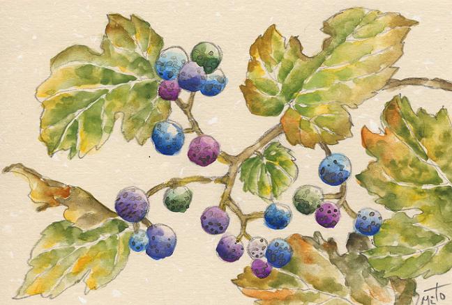 野葡萄の絵~水彩画~ : 油絵画家、永月水人のArt Life