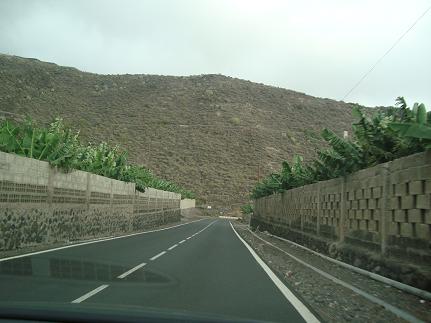 e0120938_2131436.jpg