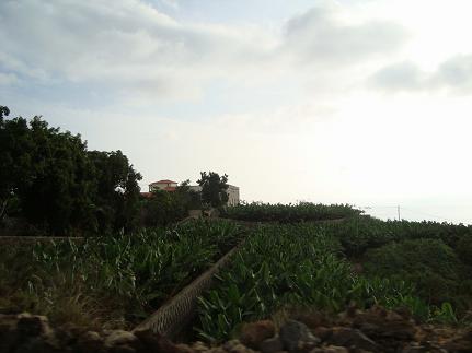 e0120938_21403.jpg