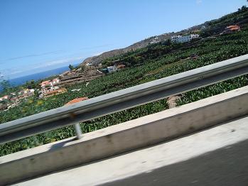e0120938_2145051.jpg