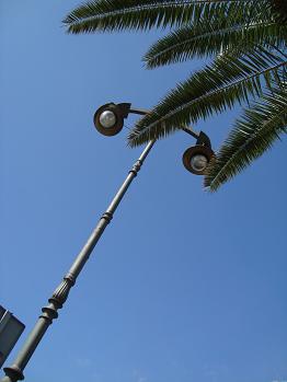 e0120938_222488.jpg
