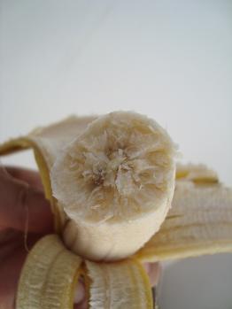 e0120938_2245685.jpg