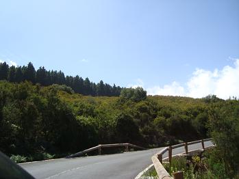 e0120938_544721.jpg