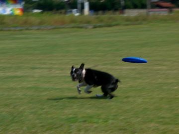 c0035443_15223476.jpg