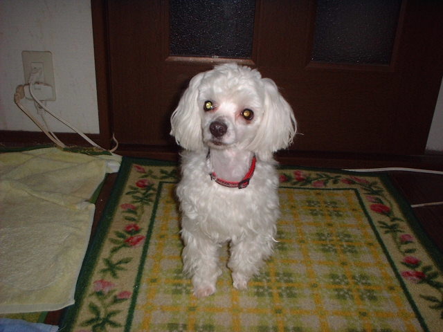 a0061845_2314033.jpg