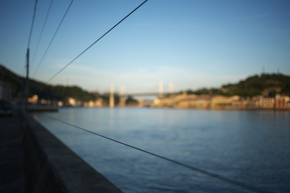 d0001745_4344376.jpg
